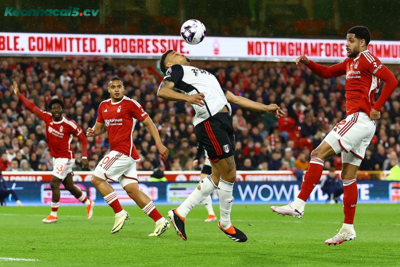 Đội hình dự kiến trước trận Fulham vs Nottingham Đội hình dự kiến trước trận Fulham vs Nottingham