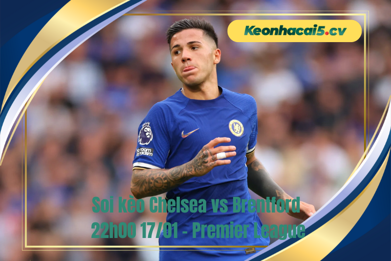 Đội hình dự kiến trước trận Chelsea vs Brentford Đội hình dự kiến trước trận Chelsea vs Brentford