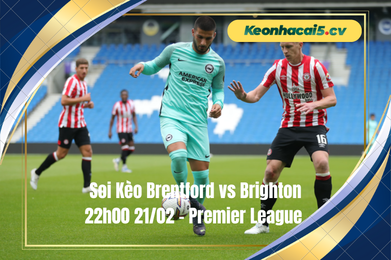 Đội hình dự kiến trước trận Brentford vs Brighton Đội hình dự kiến trước trận Brentford vs Brighton