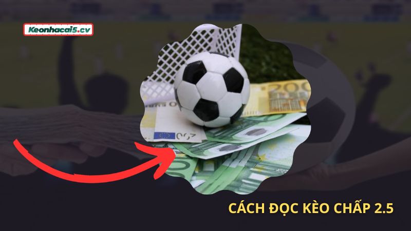 Bỏ túi cách đọc kèo chấp 2.5 chuẩn Bỏ túi cách đọc kèo chấp 2.5 chuẩn