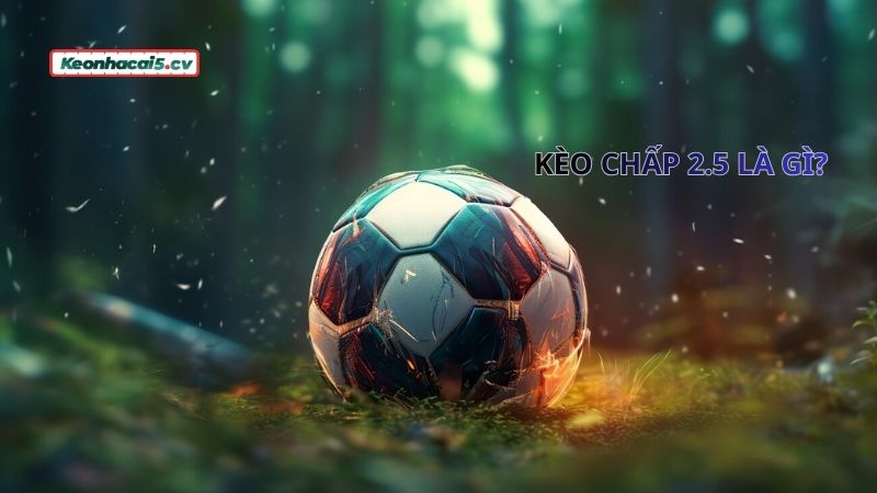 Kèo chấp 2.5 là gì bạn đã biết chưa? Kèo chấp 2.5 là gì bạn đã biết chưa?