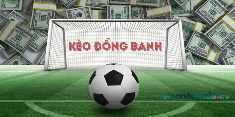 Bỏ túi các lưu ý quan trọng để chơi kèo đồng banh hiệu quả Bỏ túi các lưu ý quan trọng để chơi kèo đồng banh hiệu quả
